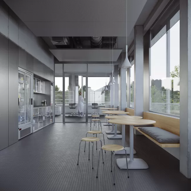 Austausch Teek&uuml;che, Bild: E2A, Visualisierung: artefactory